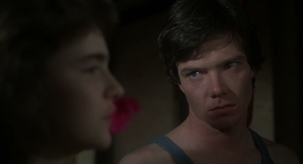 Amityville226
