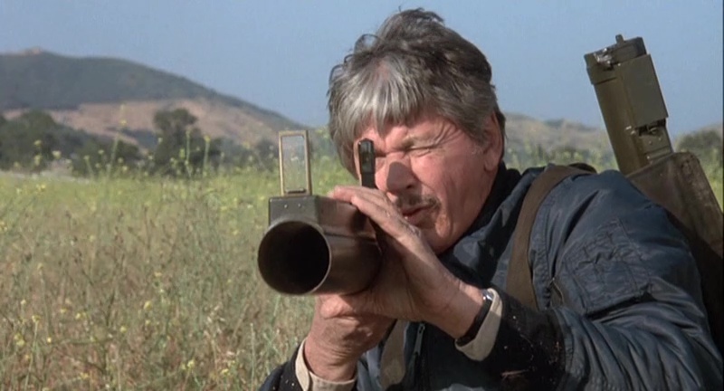 [Film] Protection Rapprochée, de Peter R. Hunt (1987) - Dark Side Reviews