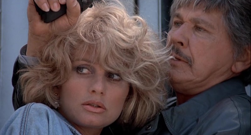 [Film] Protection Rapprochée, de Peter R. Hunt (1987) - Dark Side Reviews