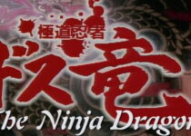 The Ninja Dragon