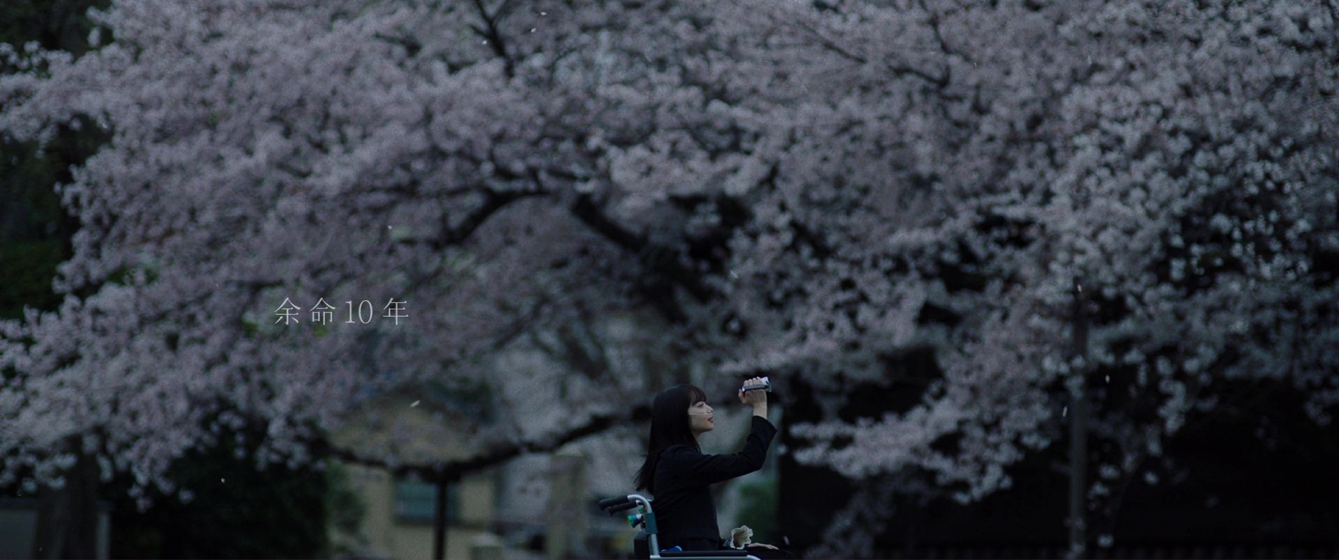 [Film] The Last 10 Years, de Fujii Michihito (2022)