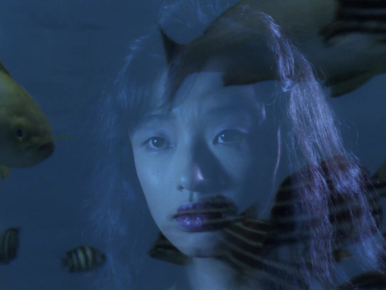 [Film] Door 2 Tokyo Diary, de Takahashi Banmei (1991) Dark Side Reviews