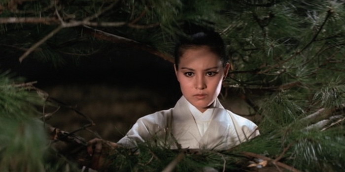 [Film] Lady With A Sword, de Kao Pao-Shu (1971)