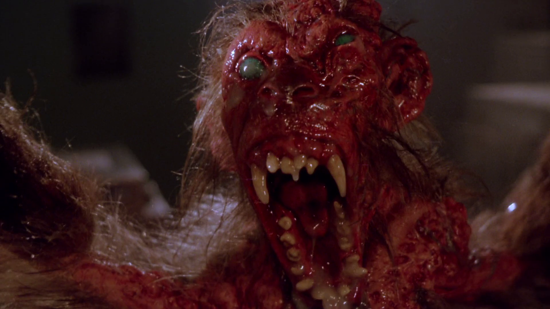 [Film] Shadowzone, de J.S Cardone (1990)