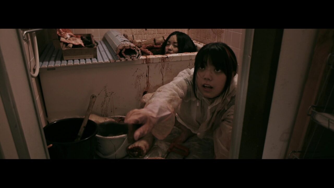 [Film] When You Wish Upon a Star, de Sasaki Katsumi (2019)