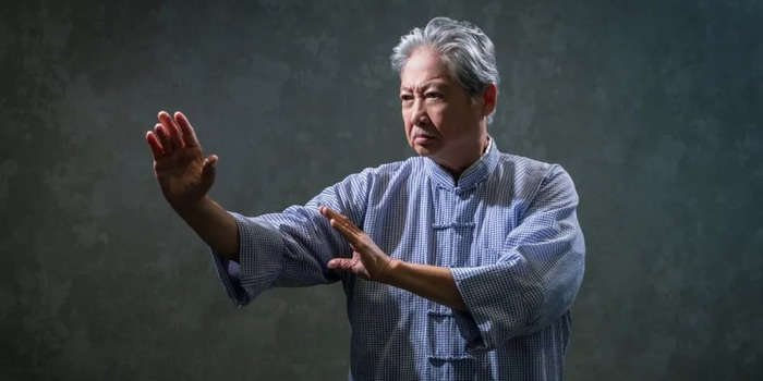 [Dossier] Réinventer l&rsquo;Action, Innover des Concepts : Le Cas Sammo Hung