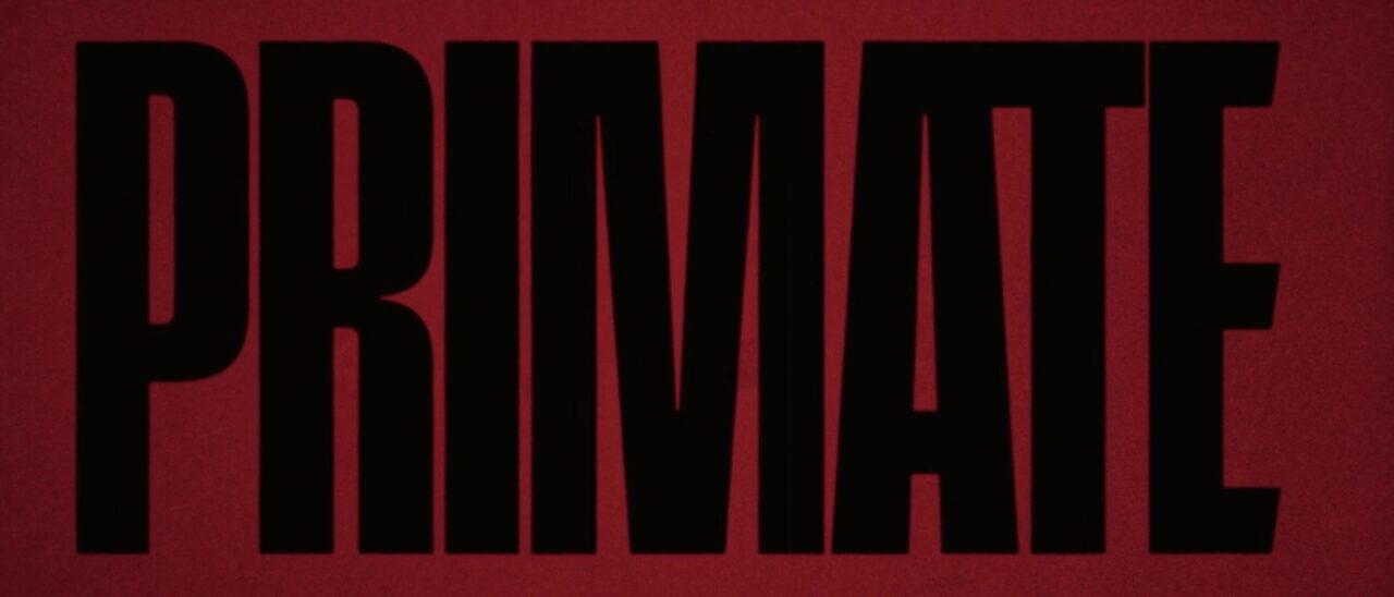 [Film] Primate, de Johannes Roberts (2026)