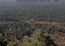 MonstresPrehistoire_5