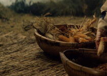 MonstresPrehistoire_8